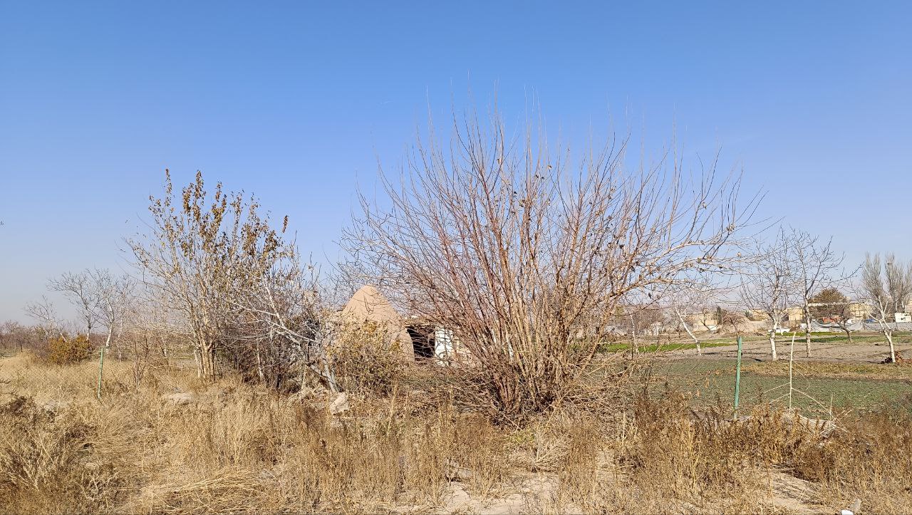 باغ در پاییز حکم آباد